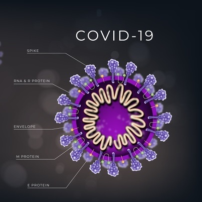 Антитела к коронавирусу (COVID-19)