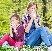 Лечение пыльцевой аллергии у взрослых и детей